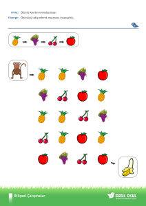 Oruntu1