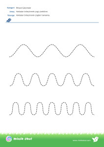 noktabirlestirme6