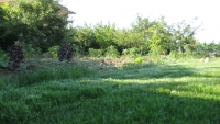 IMG_0649.JPG