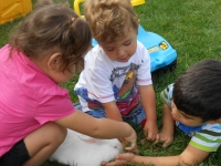 DSCN0922.JPG DSCN0922.JPG