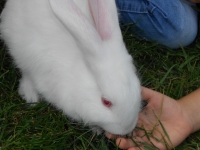 DSCN0927.JPG DSCN0927.JPG