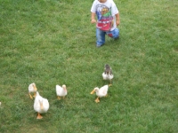 DSCN0944.JPG DSCN0944.JPG