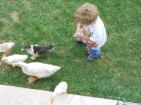 DSCN0945.JPG DSCN0945.JPG