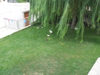 DSCN0948.JPG DSCN0948.JPG