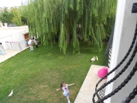 DSCN0955.JPG DSCN0955.JPG