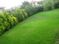 IMG_1132.JPG IMG_1132.JPG